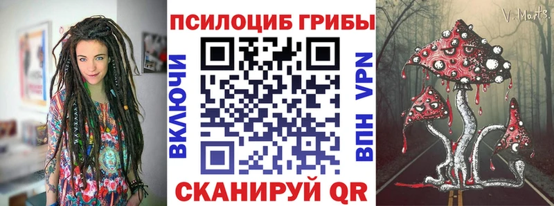дарк нет состав Чапаевск ссылка на мегу сайт Псилоцибиновые грибы Magic Shrooms где можно купить наркотик